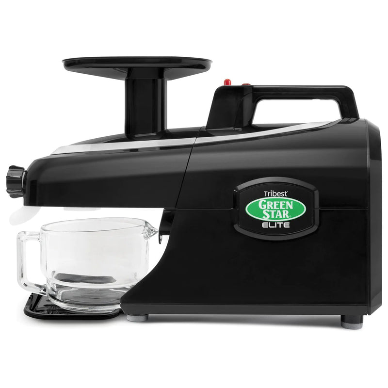 Greenstar Elite Twin Gear Cold Press Juicer (Black)