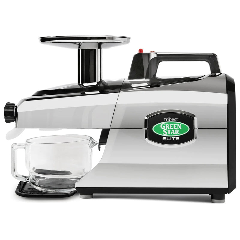 Greenstar Elite Twin Gear Cold Press Juicer (Chrome)