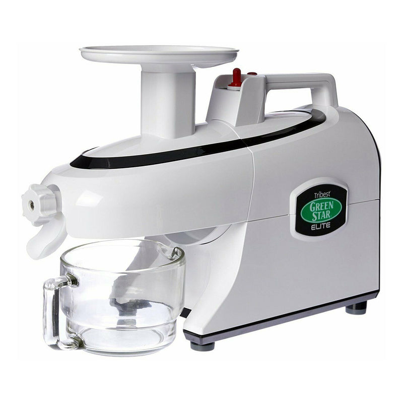 Greenstar Elite Twin Gear Cold Press Juicer (White)