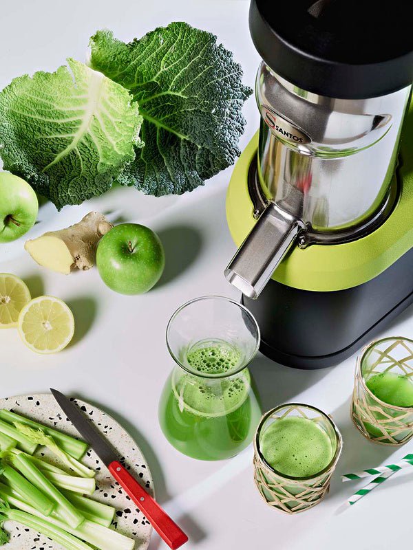 Santos Cold Press Juicer Nutrisantos 65V2 (version 2)