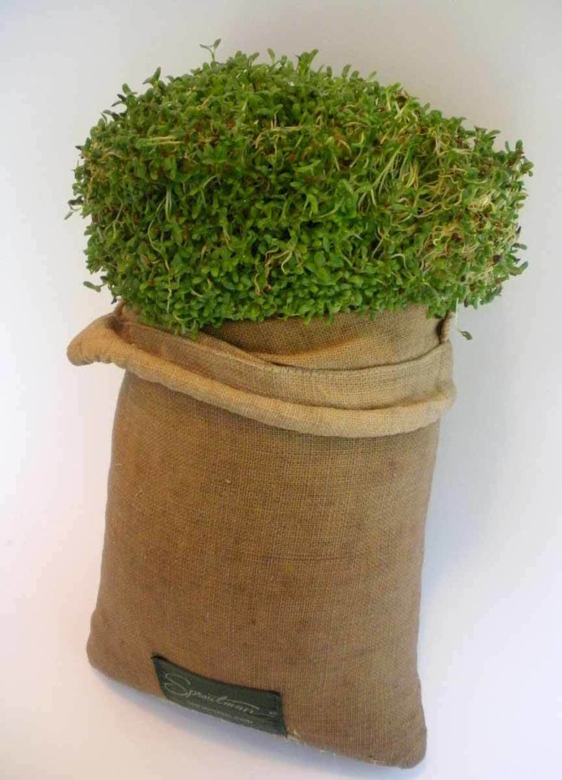 Sproutman's Hemp Sprout Bag - Just Dip In Water, Hang It Up, & Watch 'em Grow!