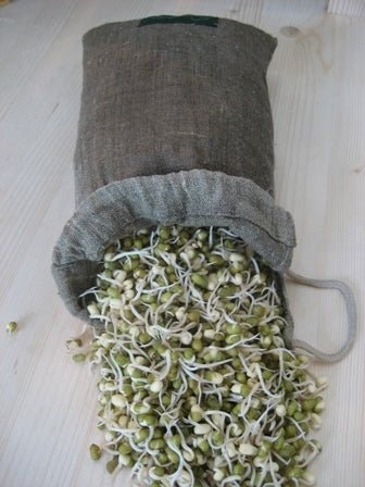 Sproutman's Hemp Sprout Bag - Just Dip In Water, Hang It Up, & Watch 'em Grow!