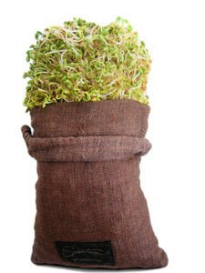 Sproutman's Hemp Sprout Bag - Just Dip In Water, Hang It Up, & Watch 'em Grow!