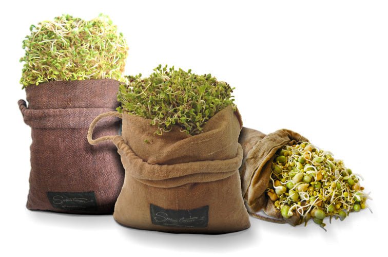 Sproutman's Hemp Sprout Bag - Just Dip In Water, Hang It Up, & Watch 'em Grow!