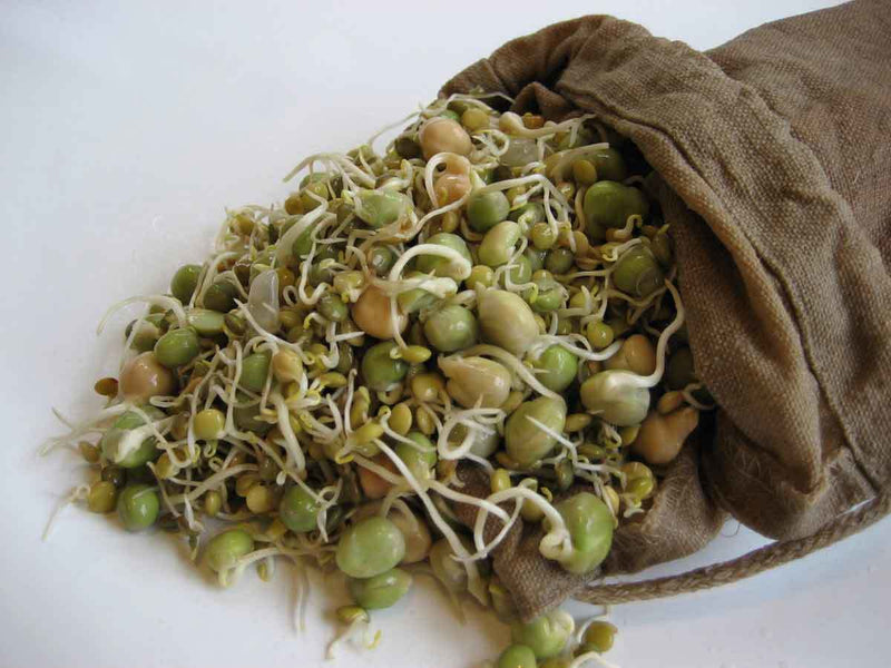 Sproutman's Hemp Sprout Bag - Just Dip In Water, Hang It Up, & Watch 'em Grow!