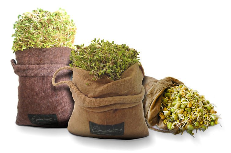 Sproutman's Hemp Sprout Bag - Just Dip In Water, Hang It Up, & Watch 'em Grow!